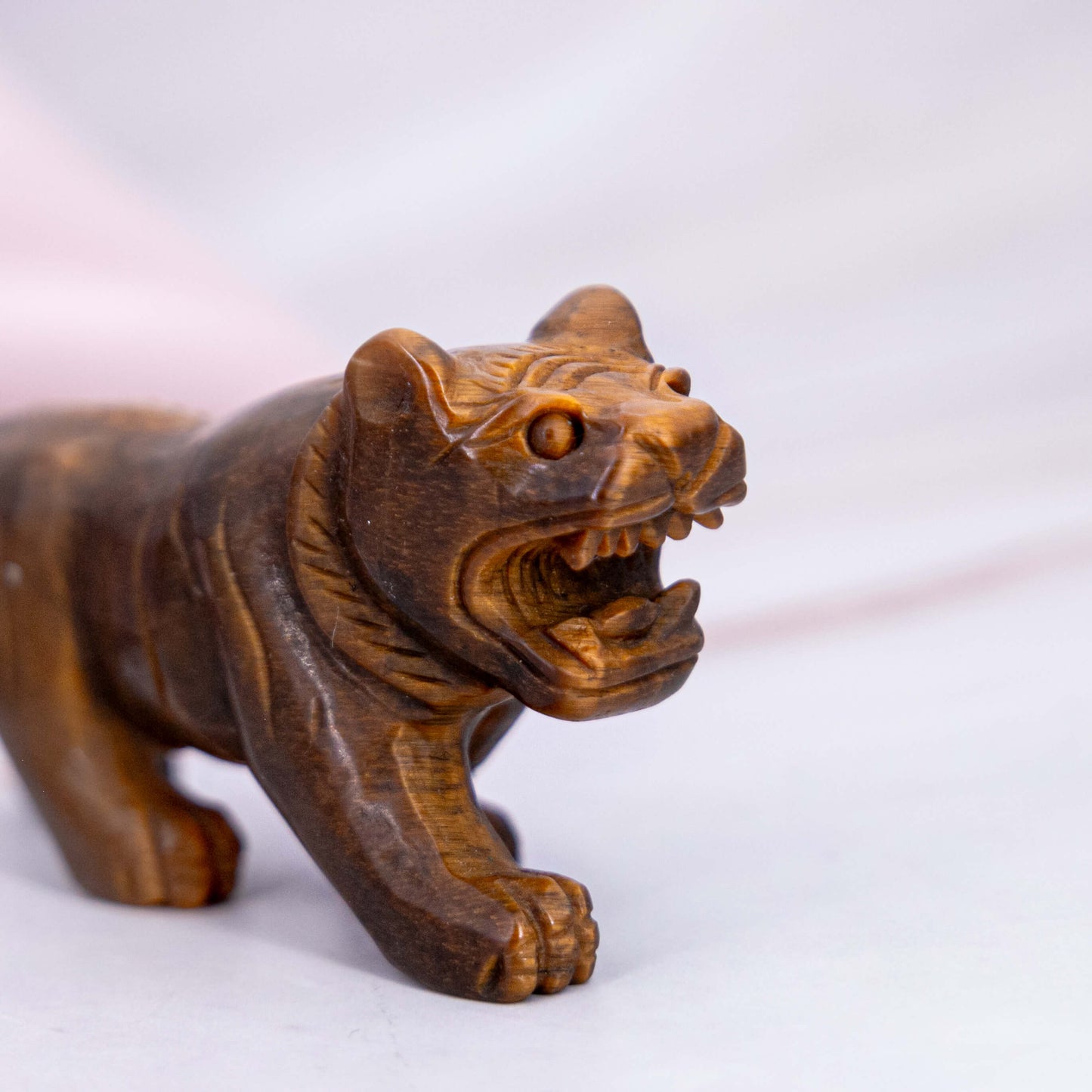Tigerauge Tiger Auge Carving Tiger Löwe Tier Dschungel geschliffen geschnitzt braun bronze Annurah deutscher Onlineshop Kristalle Edelsteine Schutzsteine Heilsteine