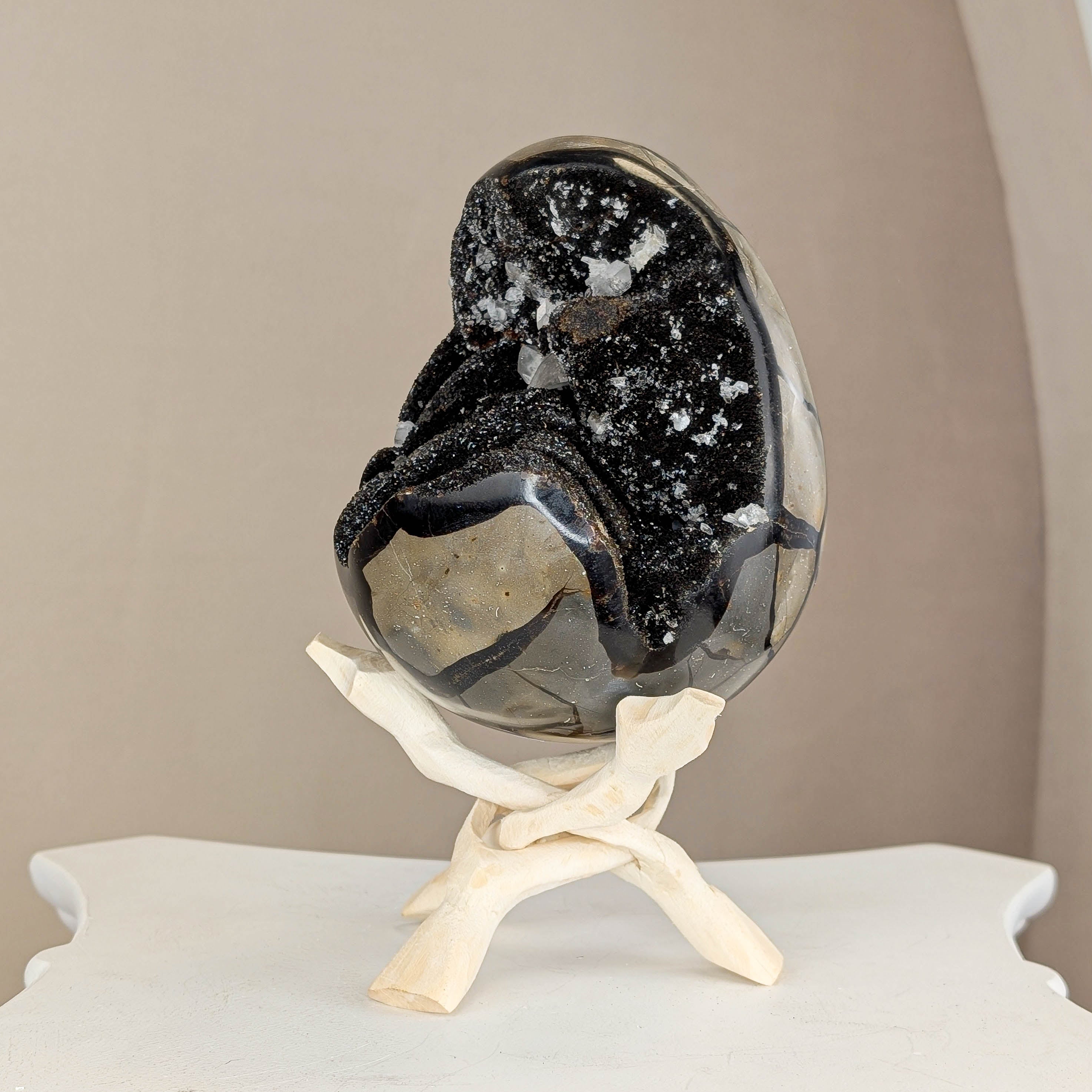 Sepatrie Drachenei (238N)