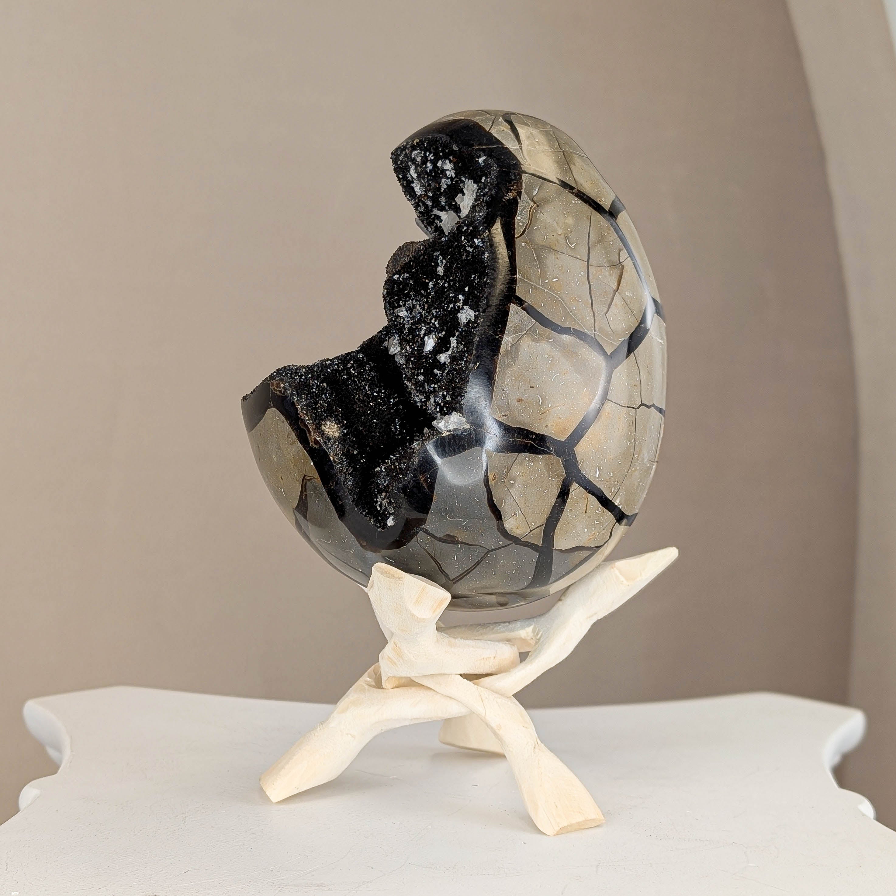 Sepatrie Drachenei (238N)