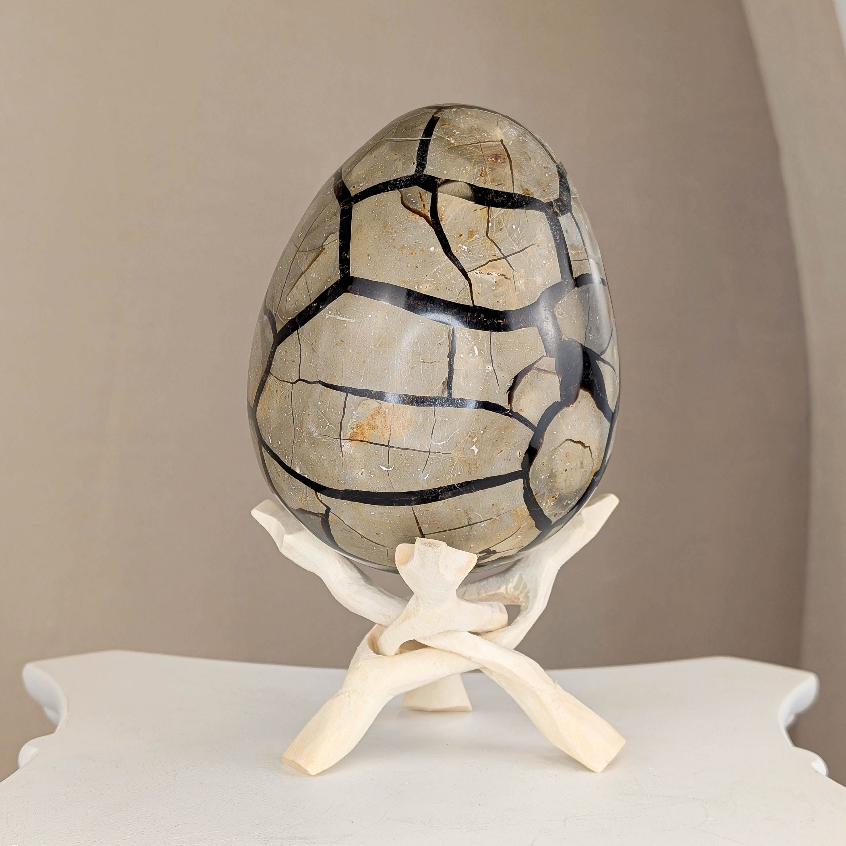 Sepatrie Drachenei (238N)