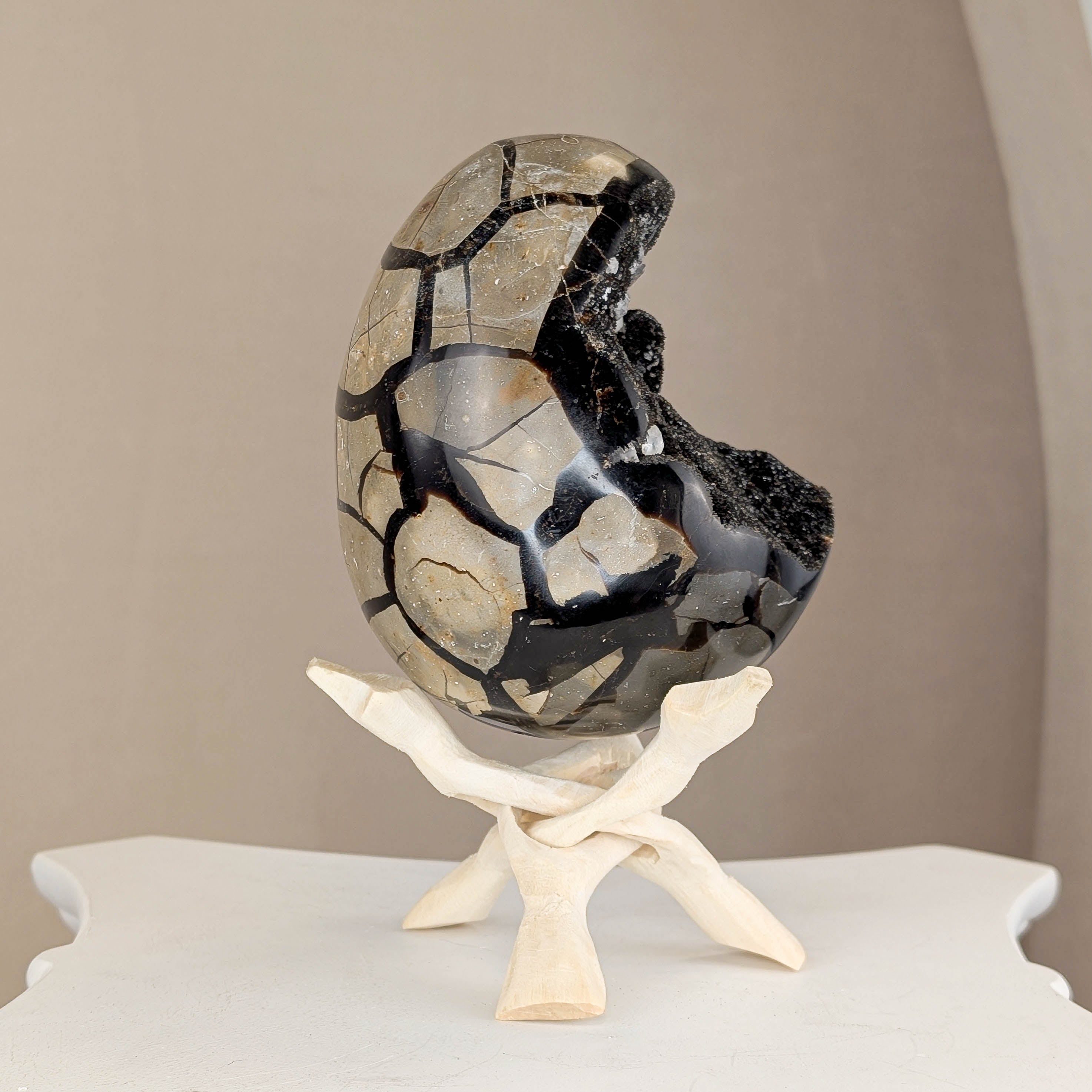 Sepatrie Drachenei (238N)