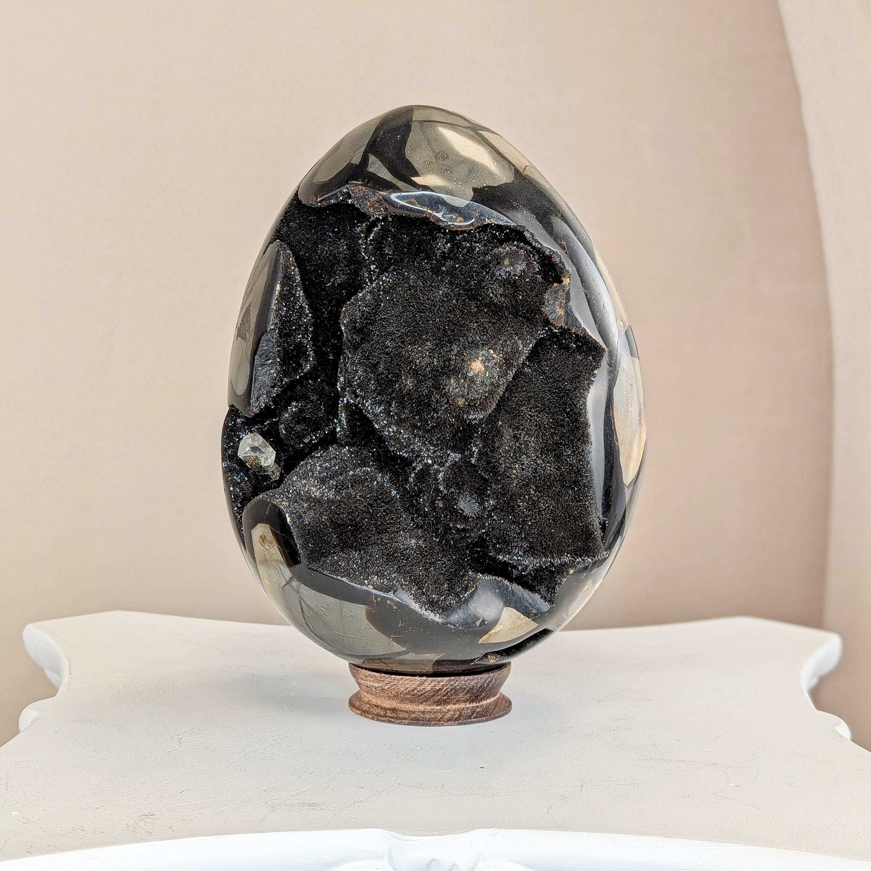 Sepatrie Drachenei (315)