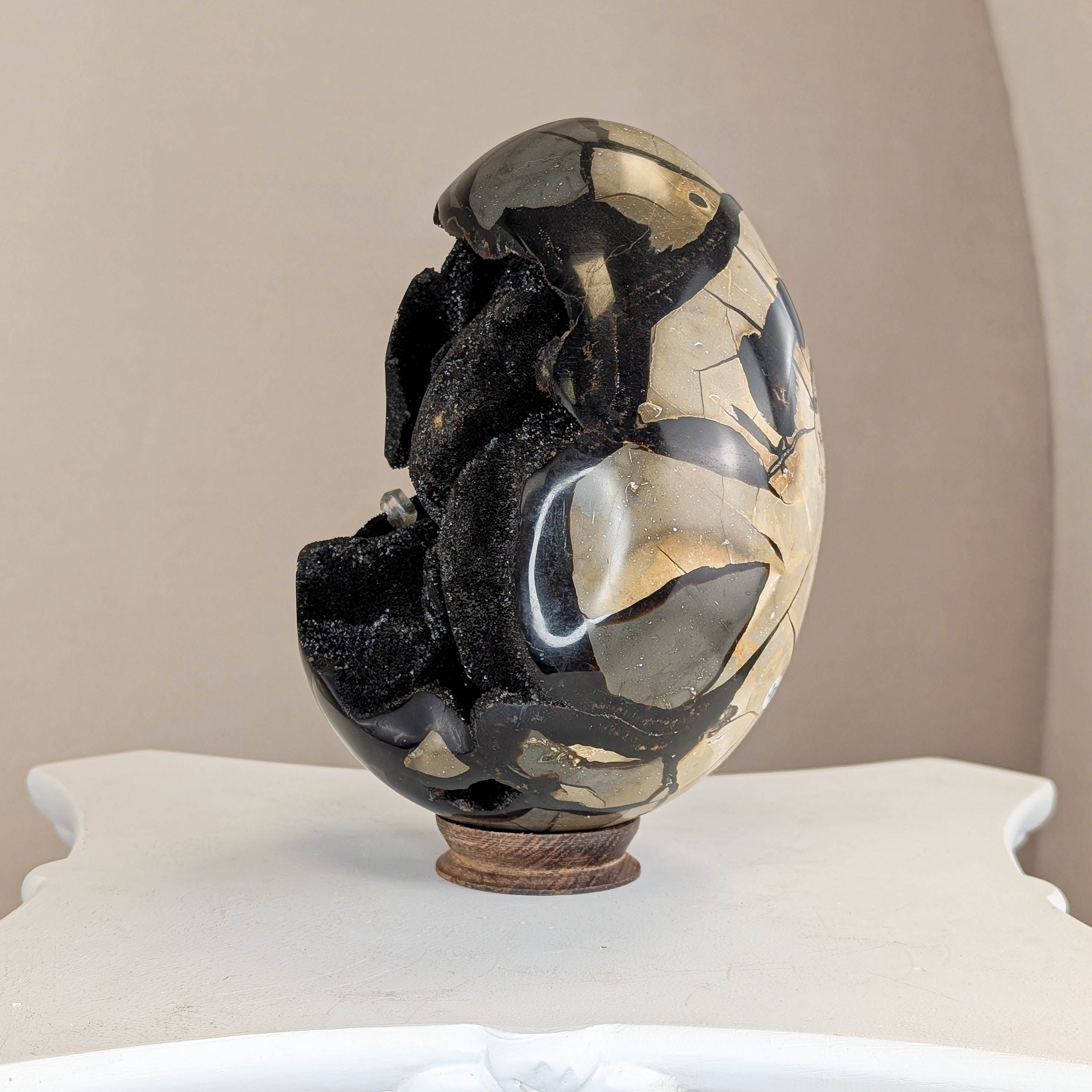 Sepatrie Drachenei (315)