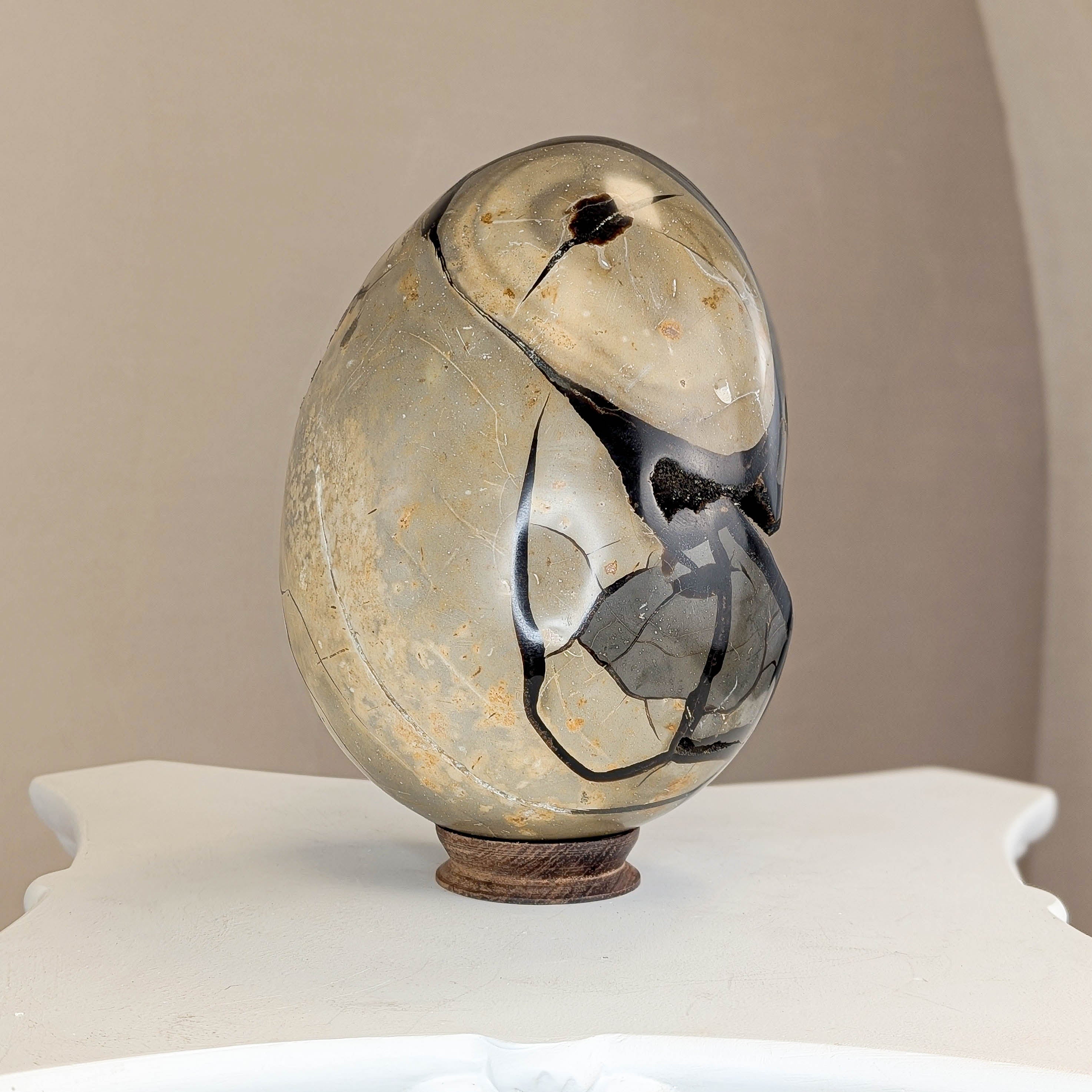 Sepatrie Drachenei (315)