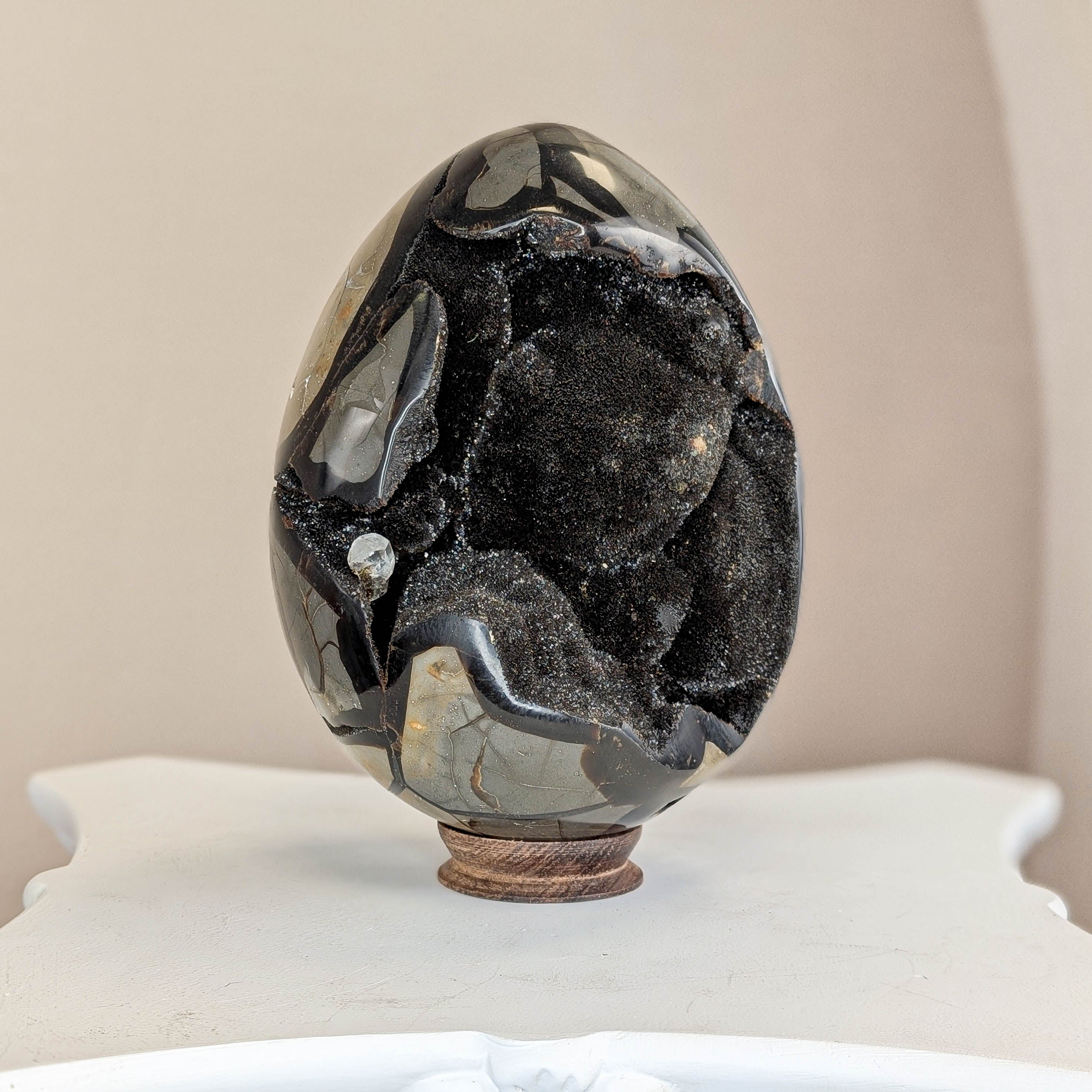 Sepatrie Drachenei (315)