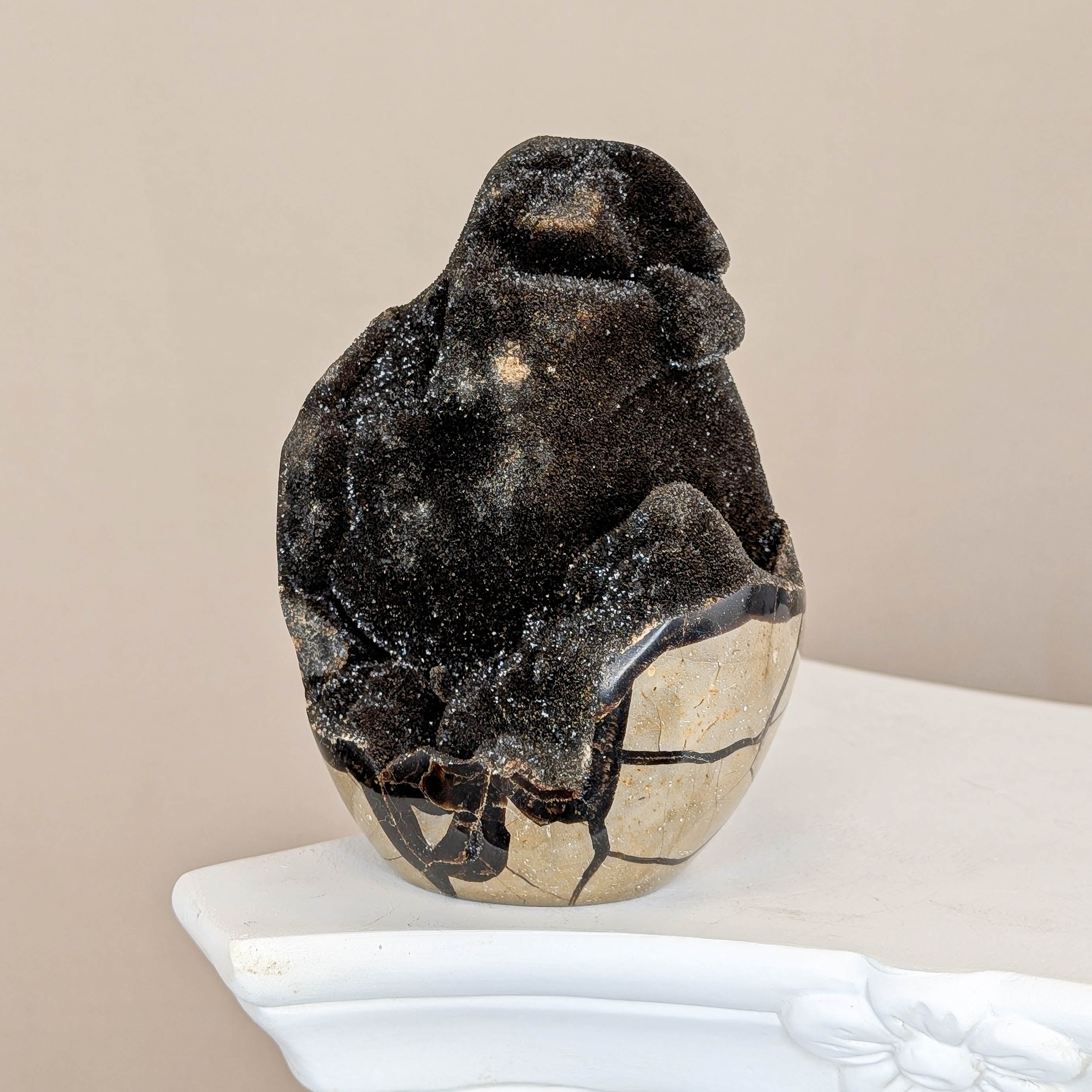 Sepatrie Drachenei (119)