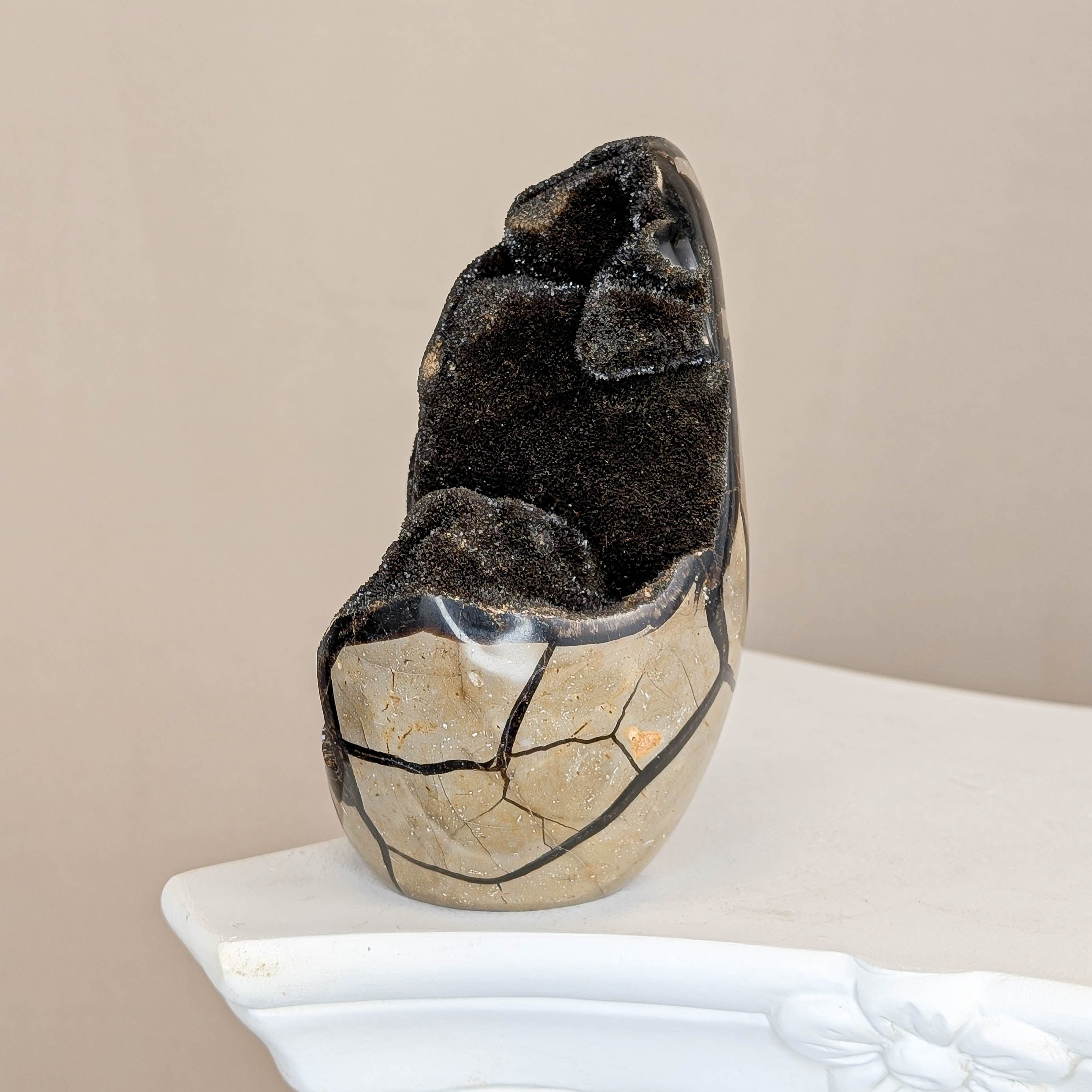 Sepatrie Drachenei (119)