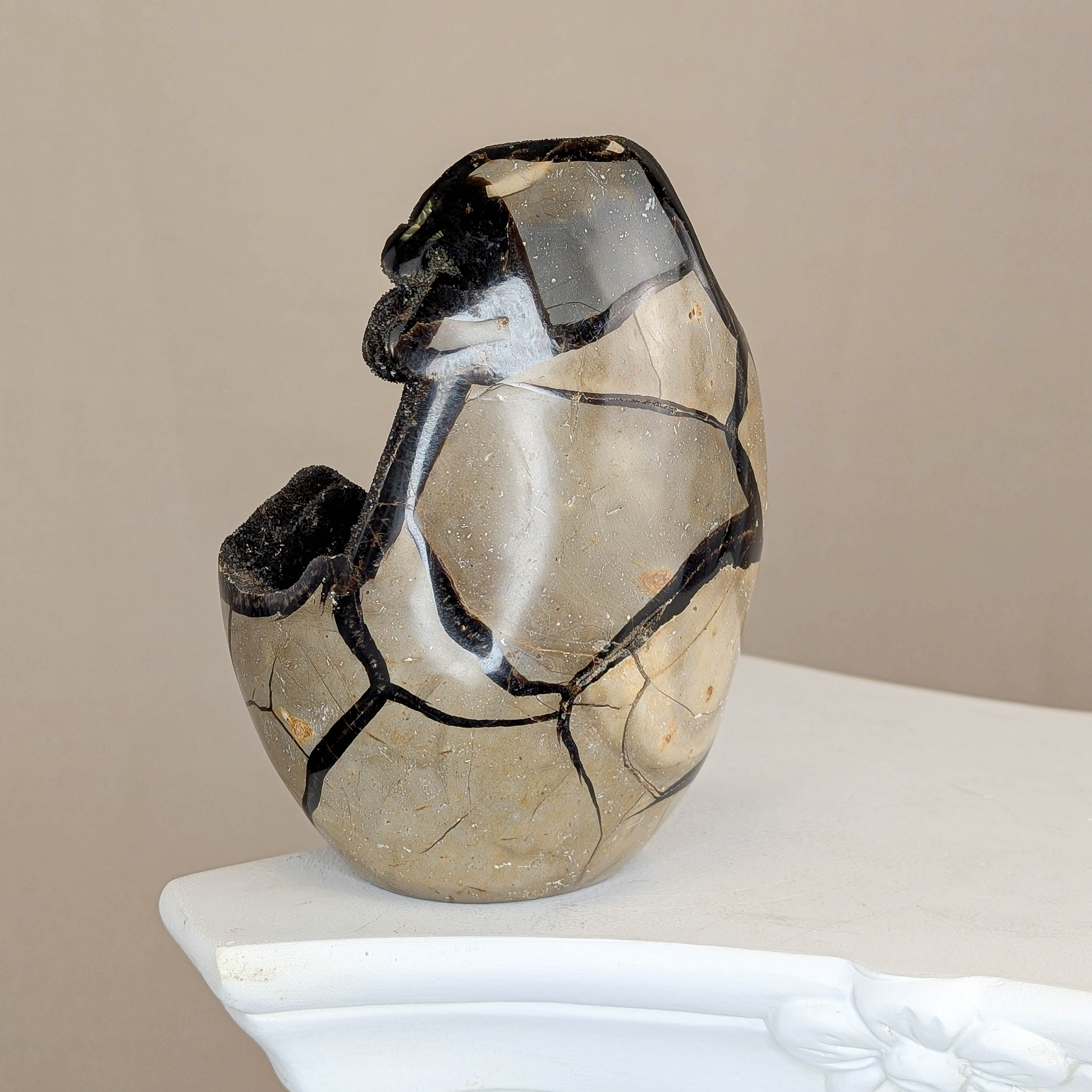 Sepatrie Drachenei (119)