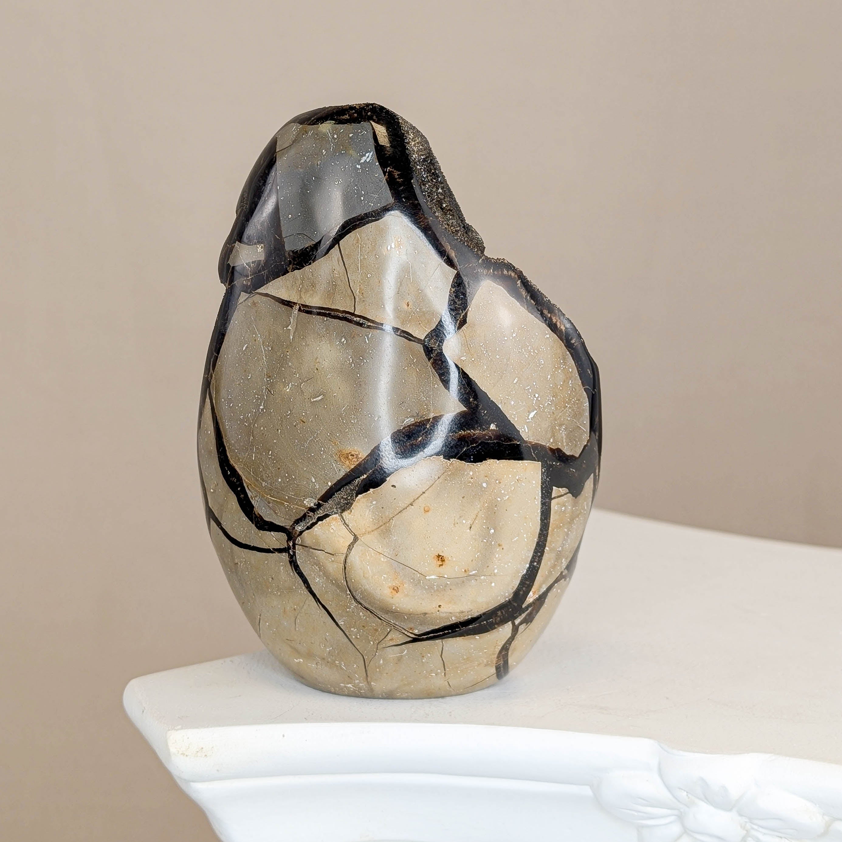 Sepatrie Drachenei (119)