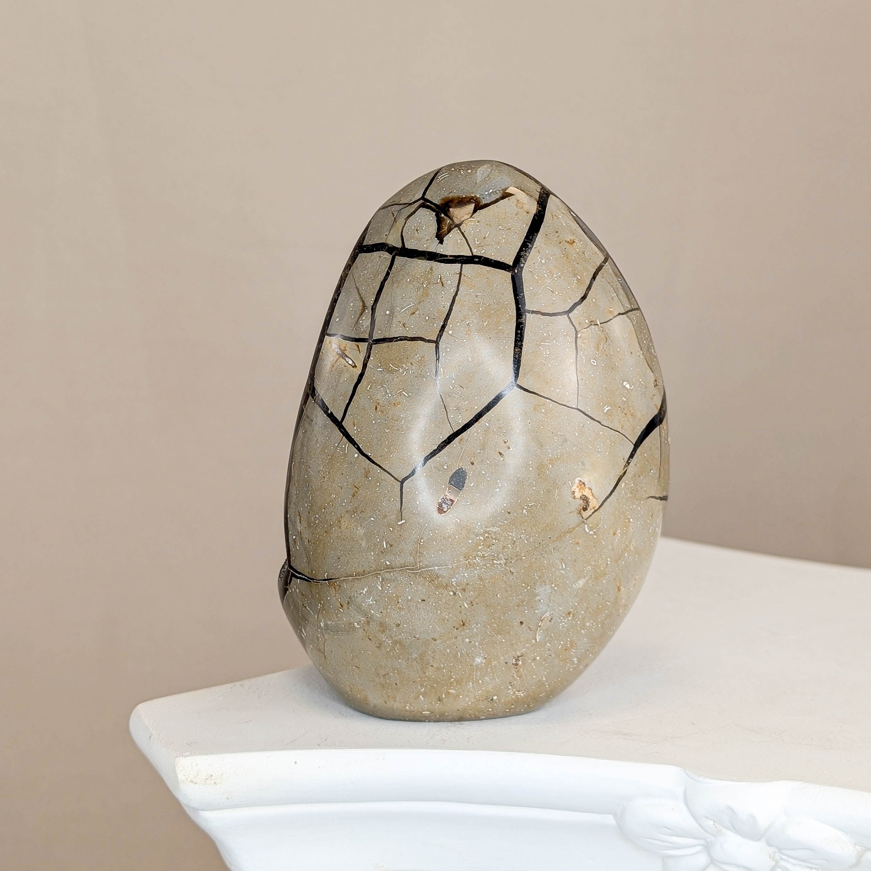 Sepatrie Drachenei (139I)