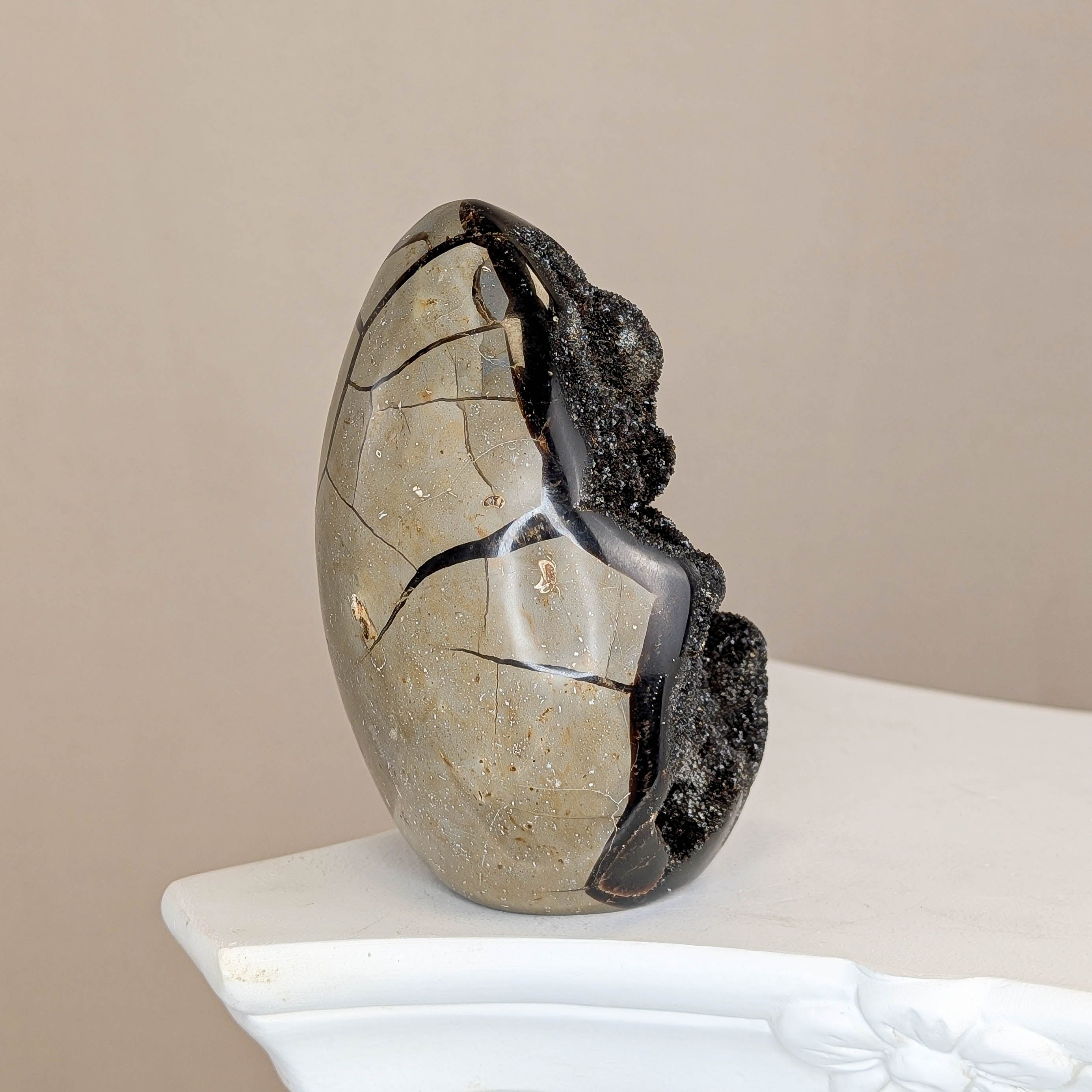 Sepatrie Drachenei (139I)