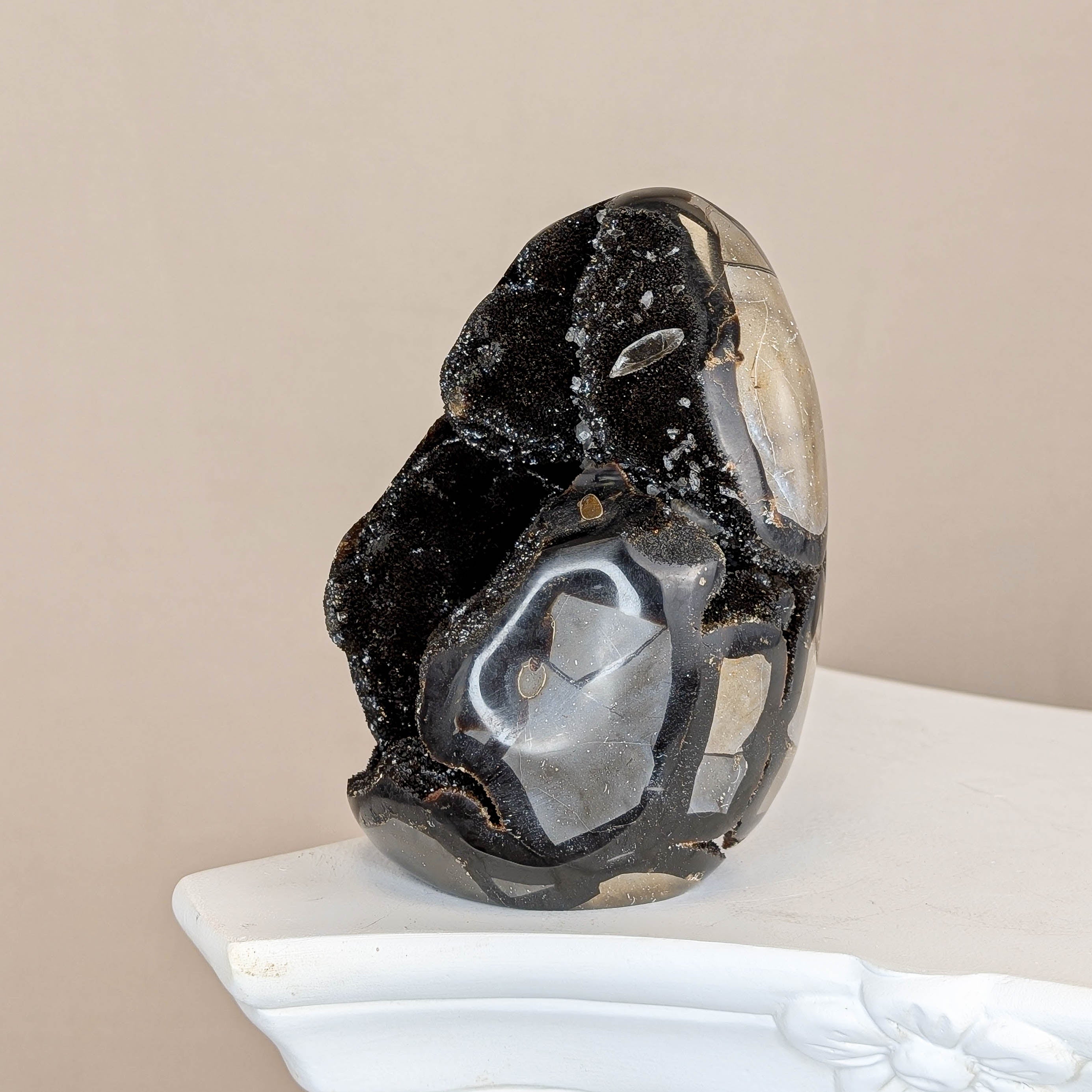 Sepatrie Drachenei (146N)