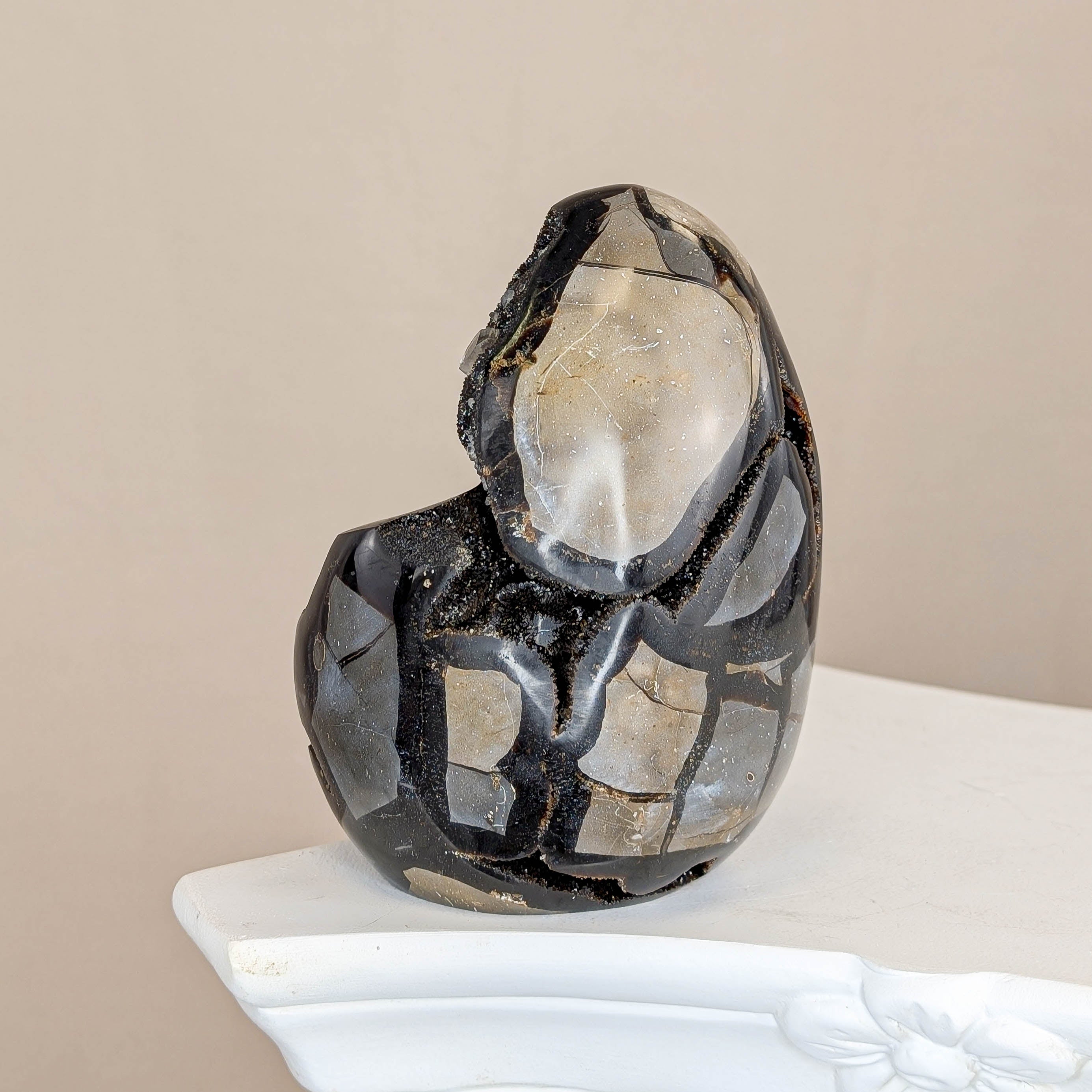 Sepatrie Drachenei (146N)