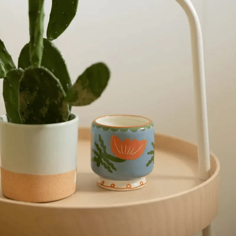 Cactus Flower Duftkerze in Keramikgefäß - Frischer Blütenduft – Paddywax A Dopo Kollektion