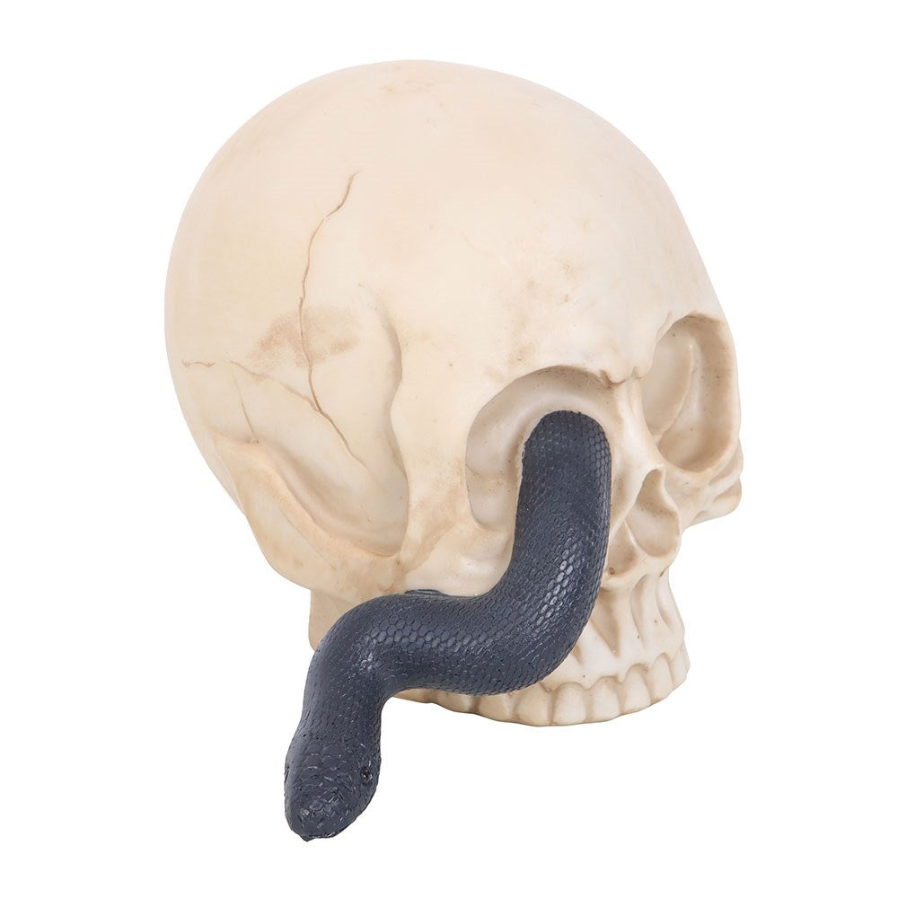Totenkopf mit Schlange Skulptur
