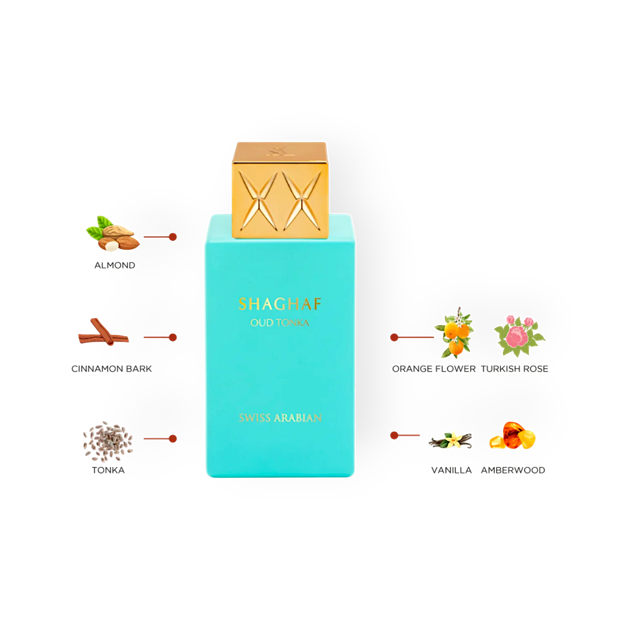 Shaghaf Oud Tonka