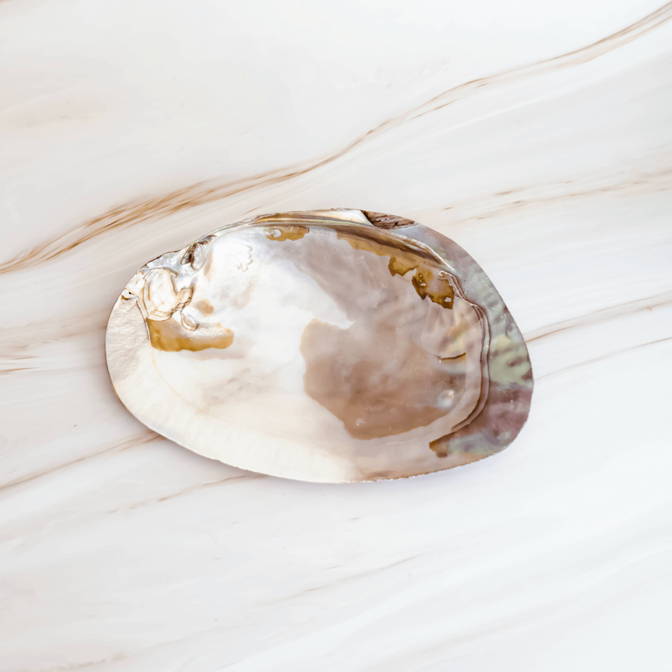 Perlmutt Räucherschale