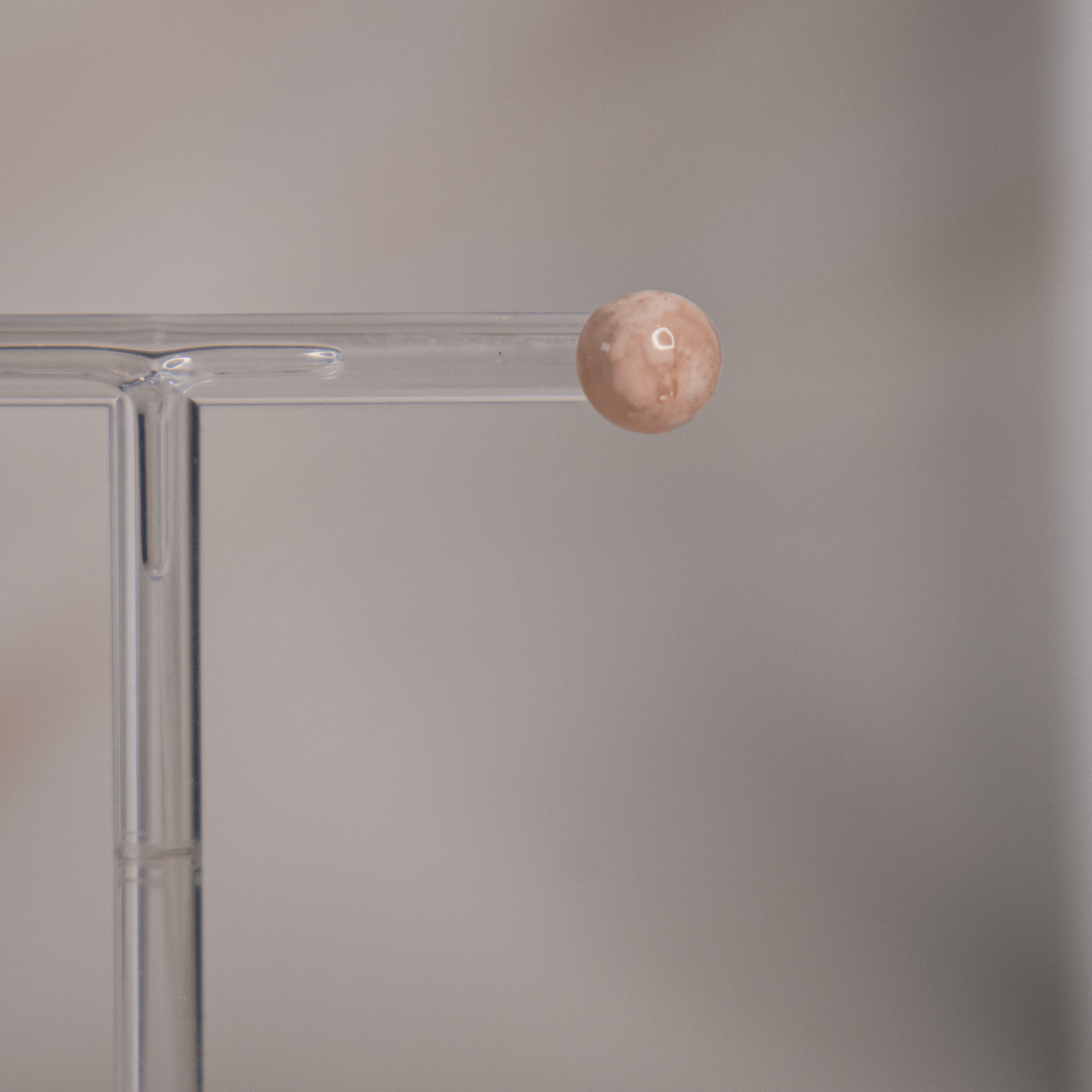 Blumenachat Ohrringe Ohrstecker rosa gemustert beige rund