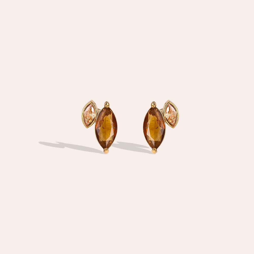 Brown Crystal Edelstahl Ohrringe