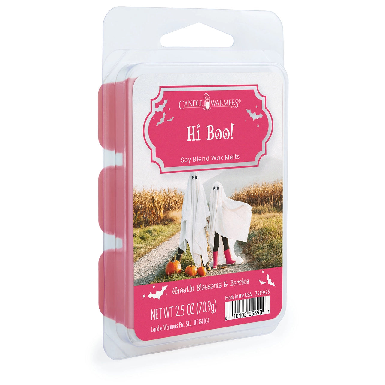 Wachsmelt – Hi Boo! | Handgegossen aus 100% Sojawachs, Fruchtig-Gruseliger Halloween-Duft