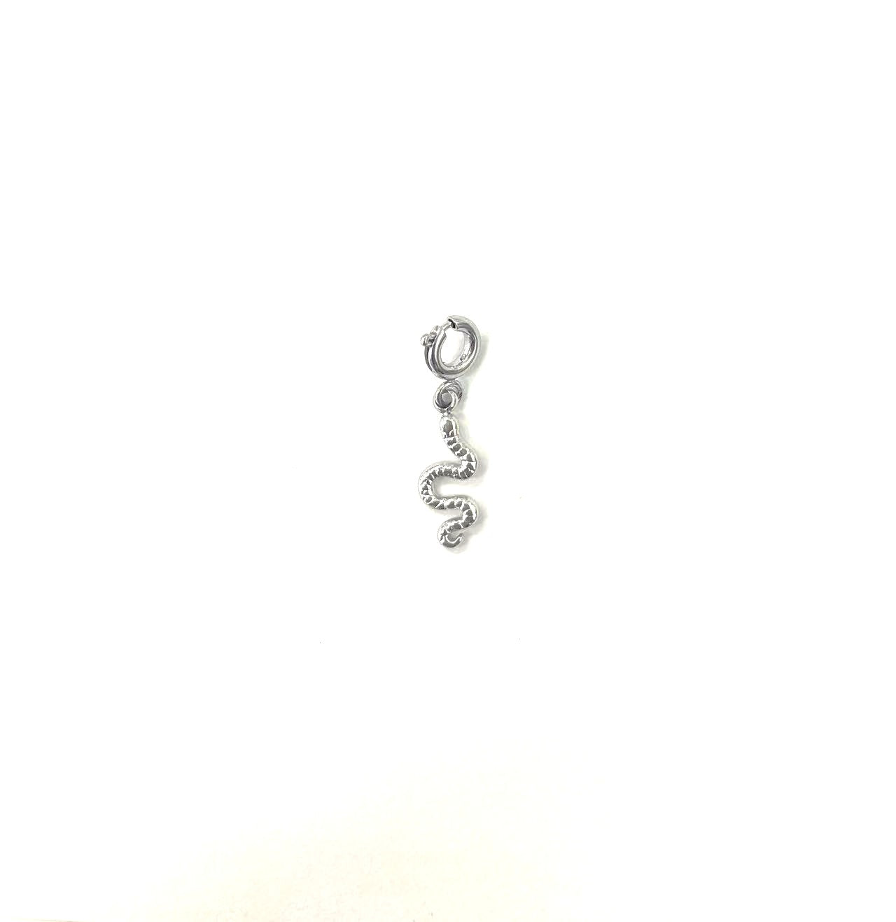 Schlange Charm