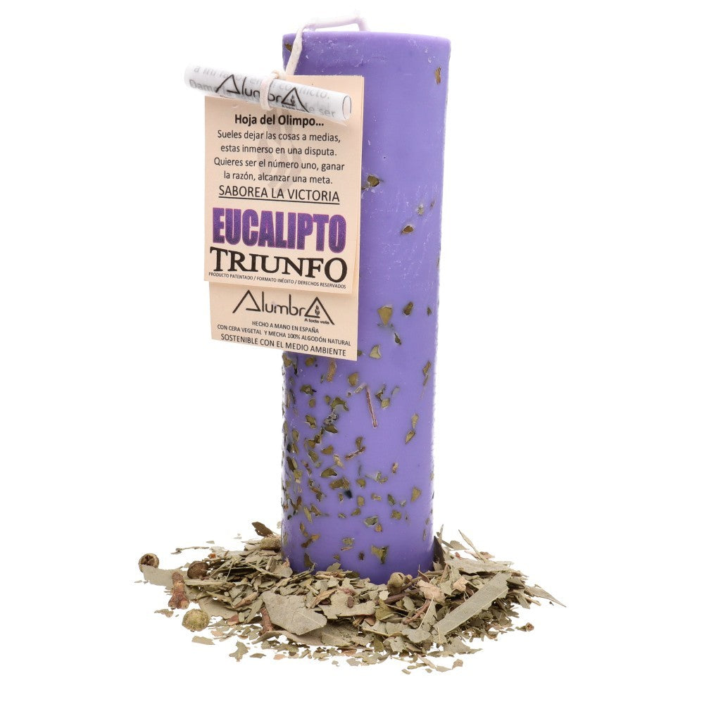 Ritualkerze - Eukalyptus | Triumph