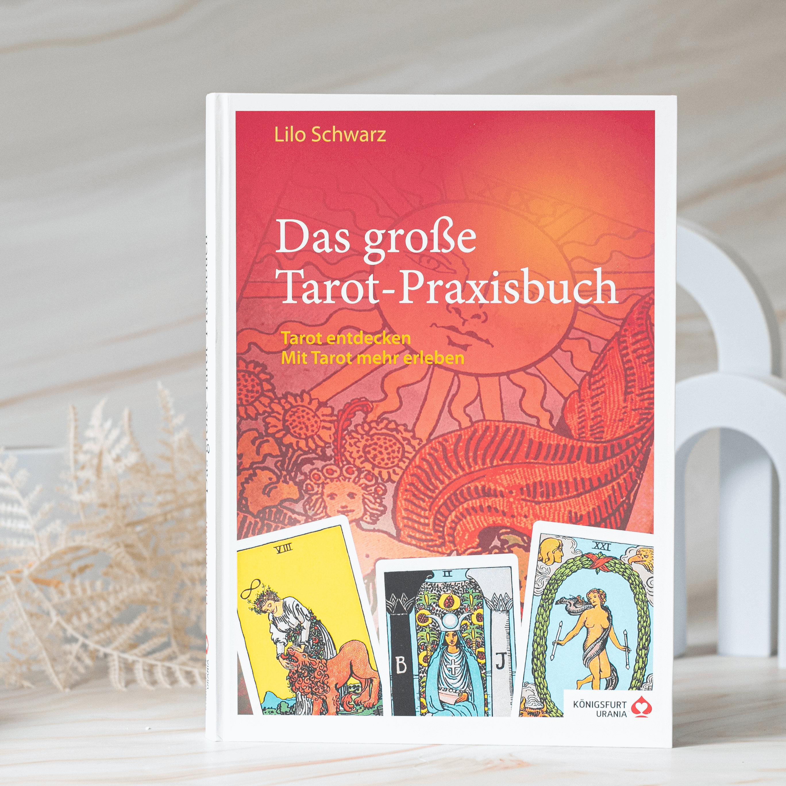 Das große Tarot Praxisbuch