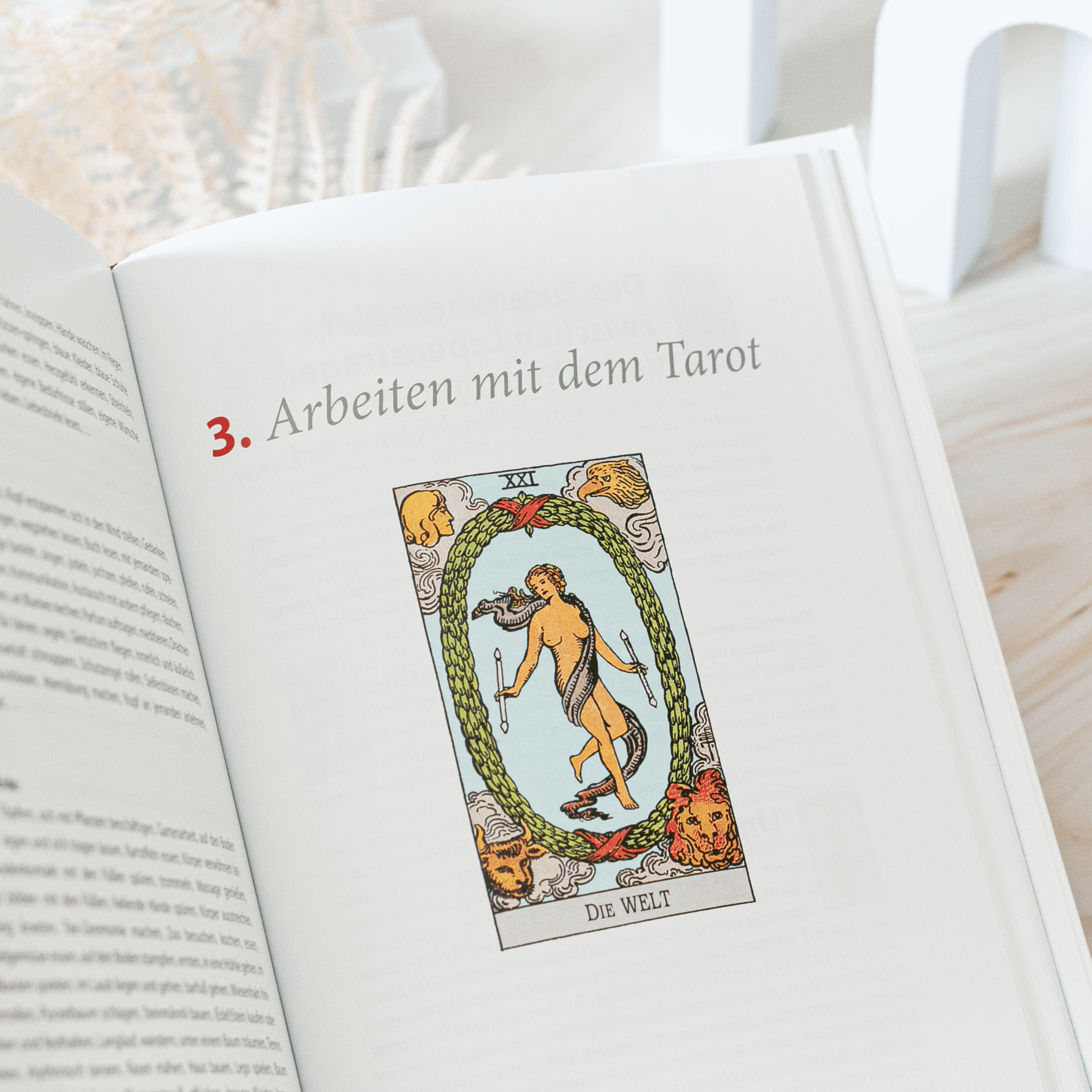 Das große Tarot Praxisbuch